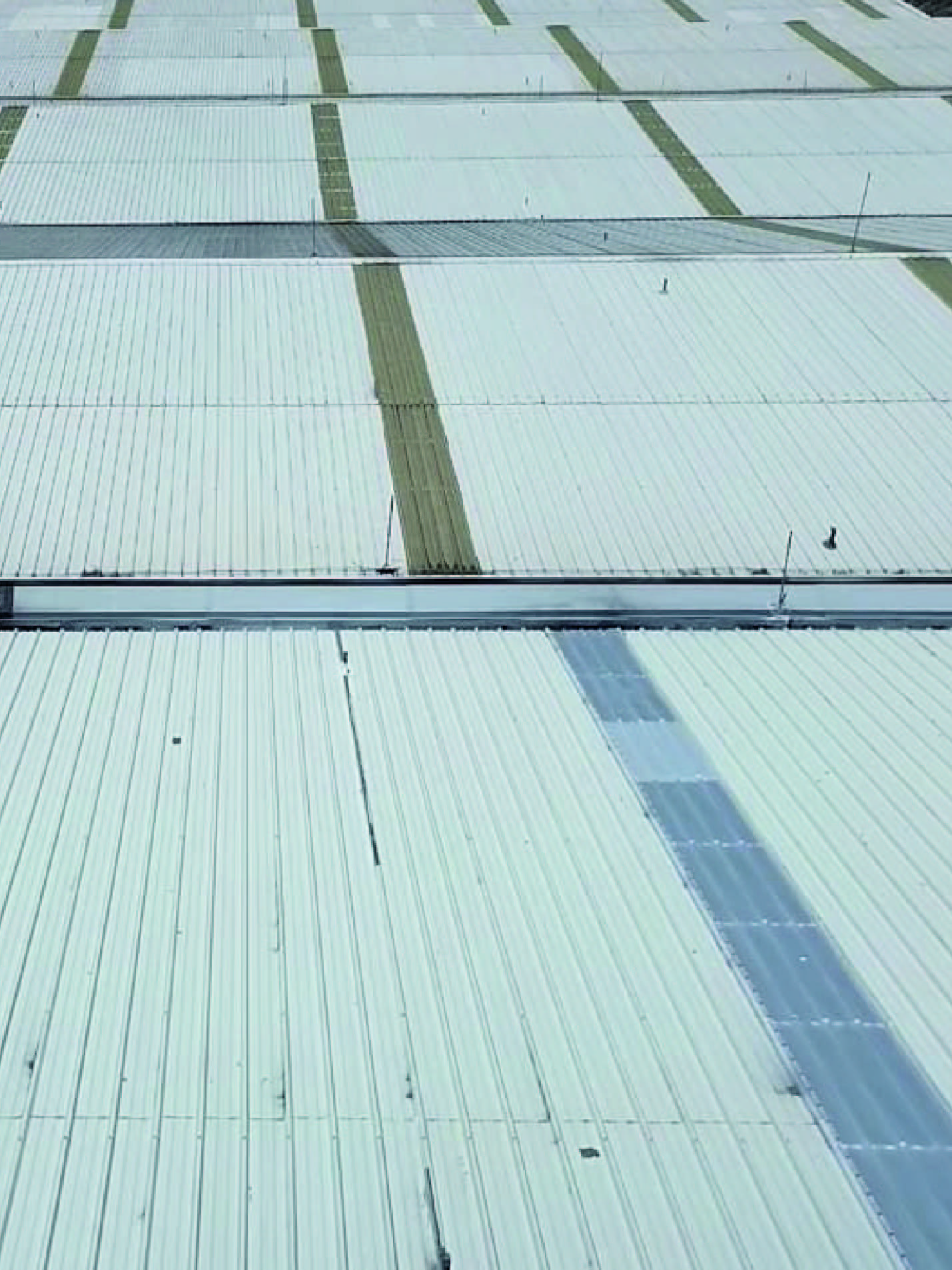 H4_Mesa de trabajo 1